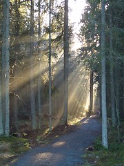 Image showing sun broke through