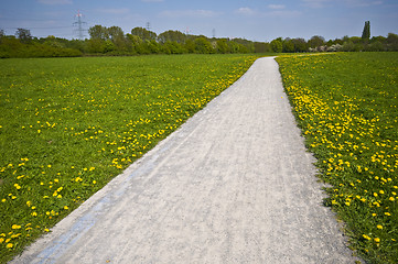 Image showing Sunny Path 