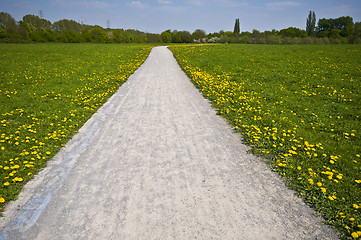 Image showing Sunny Path 