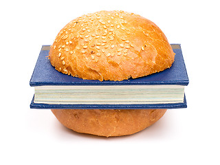Image showing Book-burger