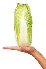 Image showing Hand with a cabbage