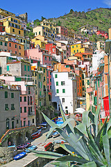 Image showing Italy. Cinque Terre. Riomaggiore village 