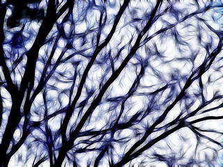 Image showing Blurred Bare Winter Tree Illustrated Background