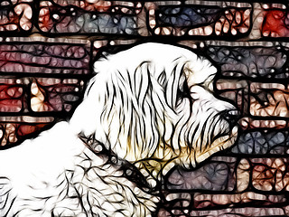 Image showing Abstract Artistic Maltese Dog Drawing