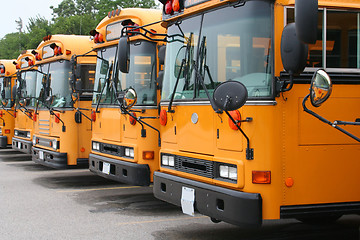 Image showing School Buses