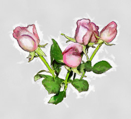 Image showing Pink Roses Oil Painting