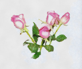 Image showing Pink Roses Oil Painting