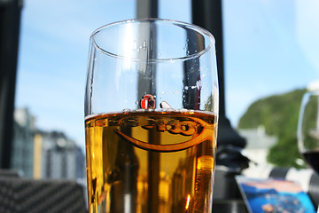 Image showing Cold Beer