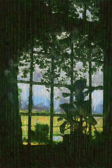 Image showing Vineyard through a window