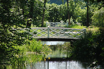 Image showing Royal Pond, Oslo