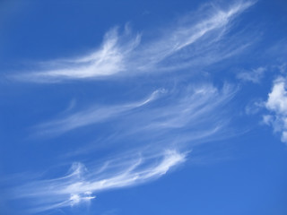 Image showing plumose clouds