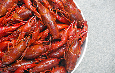 Image showing Boiled crawfish viewed from above