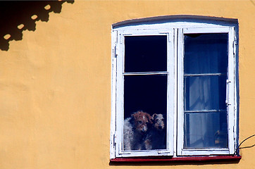 Image showing spring behinde a window