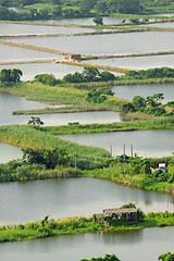 Image showing Rice terrace landscape in China 