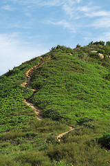 Image showing mountain path