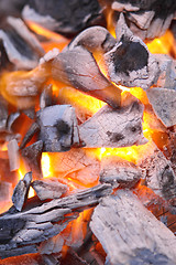 Image showing Decaying red coals of a tree in a fire 