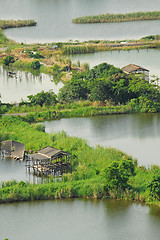 Image showing Rice terrace landscape in China 