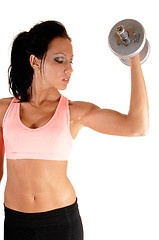 Image showing Girl lifting dumbbells.