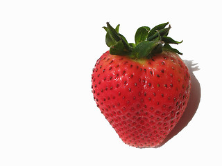 Image showing Fresh Fragaria