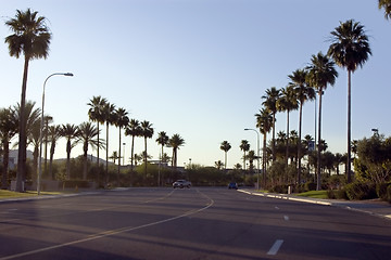 Image showing Palm Trees Along the Road of a Strip Mall