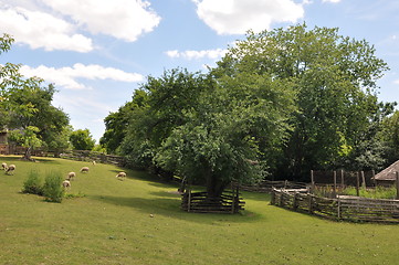 Image showing Black Creek Pioneer Village in Toronto