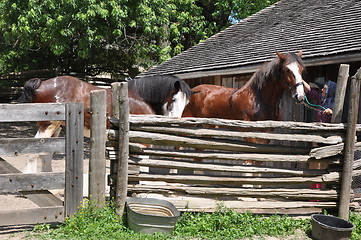 Image showing Black Creek Pioneer Village in Toronto