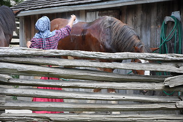 Image showing Black Creek Pioneer Village in Toronto