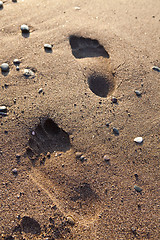 Image showing Footprints in sand