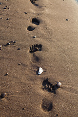 Image showing Footprints in sand