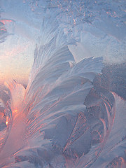 Image showing frost and sun