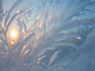 Image showing frost and sun