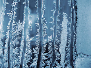 Image showing Frosty natural pattern 