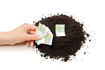 Image showing Hand planting Euro banknotes