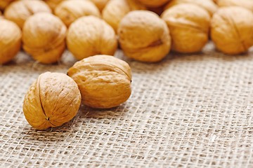 Image showing Walnuts on homespun linen background