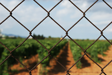 Image showing Grid Fence
