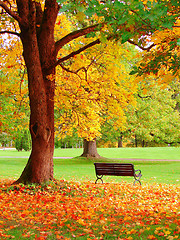 Image showing Autumn in Helsinki Public Garden