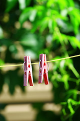 Image showing Two pink clothes pins
