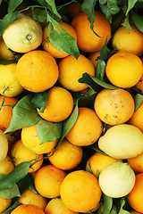 Image showing Oranges