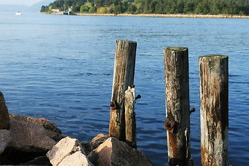 Image showing Poles in the Water