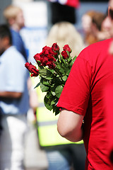 Image showing Red roses