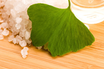 Image showing fresh leaves ginko biloba essential oil and sea salt - beauty tr