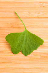 Image showing Fresh Leaves Ginkgo On The Wood