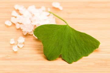 Image showing fresh leaves ginko biloba essential oil and sea salt - beauty tr