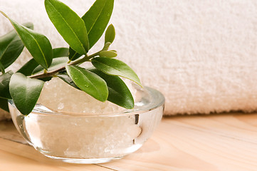 Image showing Sea Salt With Fresh Olive Branch. Spa And Wellness 