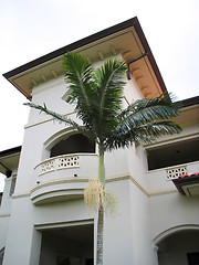 Image showing Akoakoa Tower