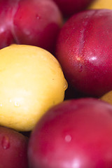 Image showing Plums