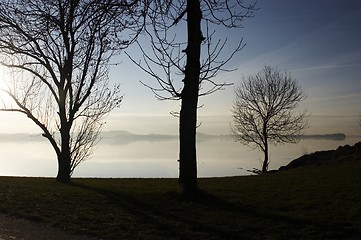 Image showing Scandinavian Spring Morning