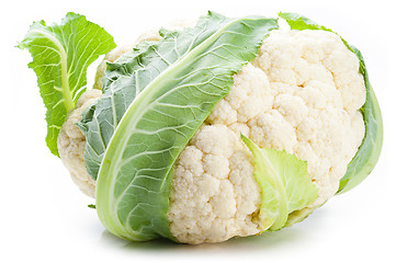 Image showing Cauliflower 