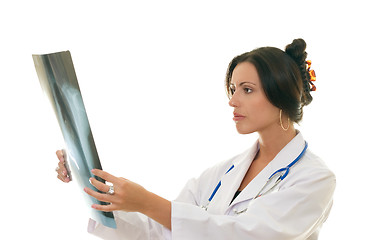 Image showing Doctor or medical professional analysing a patient's x-ray