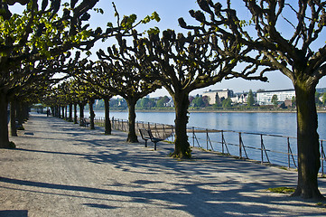 Image showing Rhine promenade in Bonn